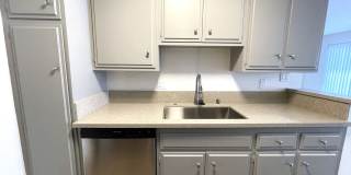 10908 Rose Gallery 14