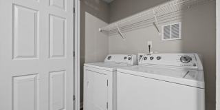 Welcome to Acorn Forest! Gallery 10