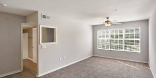 Grove at SouthShore Gallery 47