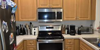 4675 PALMBROOKE Circle Gallery 6