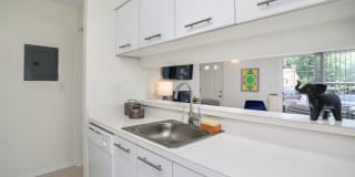 Saddle Creek Apartments Gallery 13