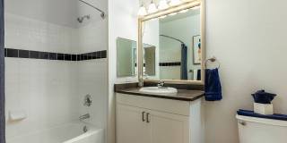 The Charles Bellingham Gallery 13