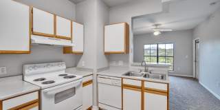 Waters at Bluff Springs Gallery 13