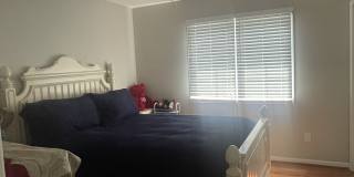 25897 Donovan Dr Gallery 1