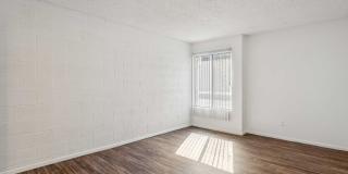 San Merida Gallery 13