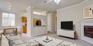 Avanti Gallery 19