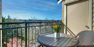 Beautiful Top Floor 2 Bed 2 Bath Condo in Factoria Beautiful Top Floor 2 Bed 2 Bath Condo in Factoria Gallery 13