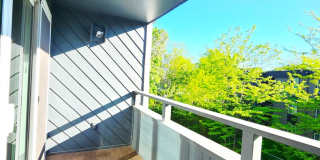 The Enclave of Richland Gallery 53