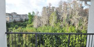 ORLANDO: Gated Community of Courtney Landing - Near Airport ORLANDO: Gated Community of Courtney Landing - Near Airport Gallery 8