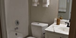 Ivy Plains at Brooks Ivy Plains at Brooks Gallery 14