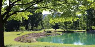 15300 BEAVERBROOK Court unit: 88-2B Gallery 34