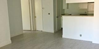375 LAKE ONTARIO CIR #301 Gallery 3