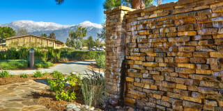 The Terrace Apartments Gallery 9