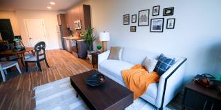 The Marquis Gallery 1