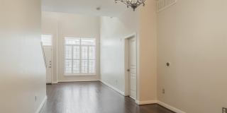 2020 5TH AVENUE Gallery 1
