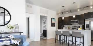Deco Gallery 29