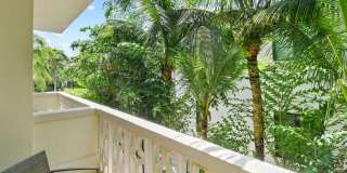 227 Brazilian Avenue Gallery 21