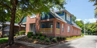 Avondale Gardens Gallery 30