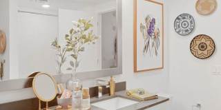 Palmera Gallery 7