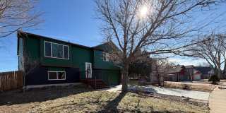 971 Daffodil St Gallery 1