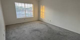 1790 Rocky Wd Cir #223 Gallery 5