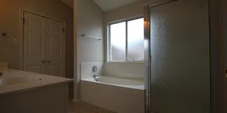 Lovely large updated 3 bed, 2 bath house w/ 2 living & 2 dining areas in Austins Colony Gallery 10