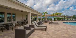 491 DAYLILY BOULEVARD Gallery 50