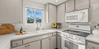 4741 Choctaw Drive - 1 Gallery 4