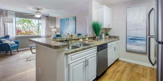 Lexington Palms at the Forum Gallery 9