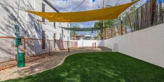 Bellevue Towers Gallery 15
