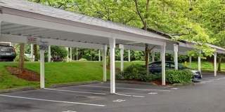 Greystone Meadows Gallery 20