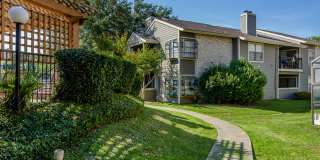 Arbor Hill Gallery 16