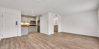 Vivo Living Charlotte Gallery 20
