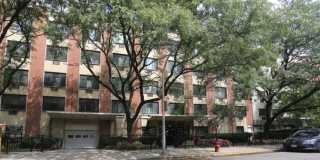 538 Roscoe Gallery 1