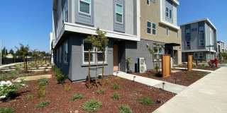 6535 Immersion LOOP 6535 Immersion LOOP Gallery 1
