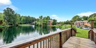 Turtle Lake Gallery 38