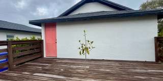 Updated 3/2 in St.Pete Gallery 18