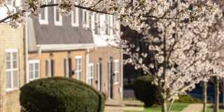 Chadwick Manor Gallery 50