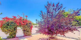 SD: Cozy 2BD/2BA Home in Ramona with Front Patio, Included Landscaping & A/C Gallery 13