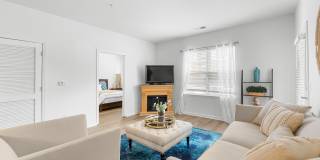 White Oak Luxury Apartments Gallery 9