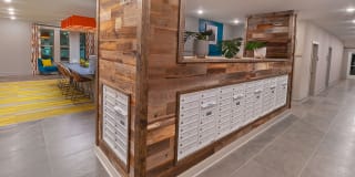 Kaleido Noda Gallery 18
