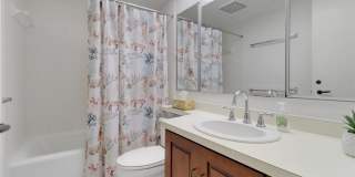 5015 Harbortown Lane Gallery 8