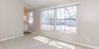 Oak Tree Court Gallery 58