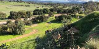 8808 CHATLAKE Dr Gallery 24