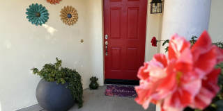 43622 Warner Trail Gallery 10