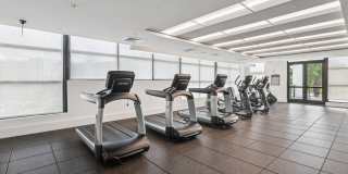 Legacy Lake Vista Gallery 15