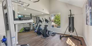 The Lantern Gallery 20