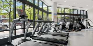 West of Chestnut Gallery 13