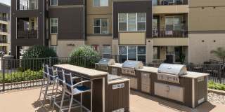 Alinea at Town and Country Gallery 26