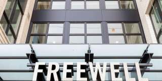 Freewell Gallery 33